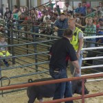 2015 Win the Meat Contest Marquette County Fair 026