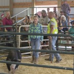 Young girl showing her 4-H pirde and her hefty pig during the Livestock Auction at the MQT County Fair 2015