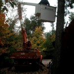 Luke Tree Trimming Bucket Truck Arborist Jack Pine Fire Wood Chain Saw 01