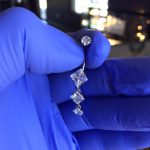 16473749_1309468492466381_242934633333494624_n