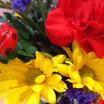 Mill Creek Senior Living Center May 7 2017 A Sunday with Mom - 17