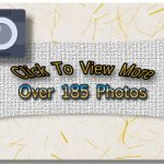 Click To View More Than 185 Pictures from the Marquette 4th of July Parade 2017