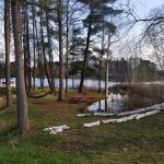 horseshoe-lake-campground-rustic-tent-site-deal-of-the-day