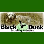 Black-Duck-Hunting-Preserve-Dog-Training