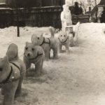 MRHC – Museum After Dark – Howling Good Time – Ice dogs