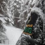 Van Riper State Park Lantern Lit Snowshoe Trail View
