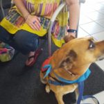 Liz's dog Marshall came with her to pick up the truck.q