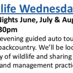 Wildlife Wednesdays Free Bus Tours at Seney Wildlife Refuge