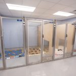 The big dog kennels are design with a gate between them so if staff needs to clean one, they can just shift the dog into the next pen without having to take them out of the cage.