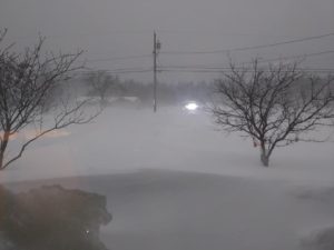 The view outside of Kelsey's front window