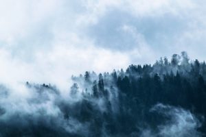 Foggy Morning