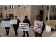 Animal–Free Circus Marquette Protesters on the 8th Day Radio Show