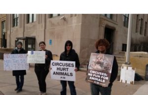 Animal–Free Circus Marquette Protesters on the 8th Day Radio Show
