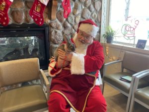 Pictures with Santa at Animal Medical Center