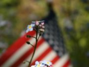 Remembering Veterans November 11th Remembering Veterans November 11th