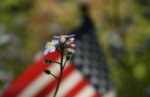 Remembering Veterans November 11th