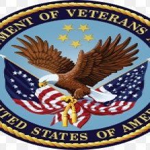 Iron Mountain VA Wins National Best Patient Experience Award July 24, 2020