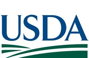 Hiawatha National Forest Extends Free Personal Use Firewood Cutting