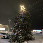 What a pretty tree!