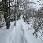 Fresh Trail