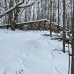 Foundation in Old Town