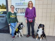 NMU Wildcat Wednesday: Animal Assisted Therapy at NMU with The Wildpups