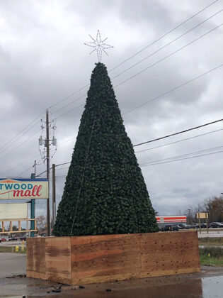 mediaBrew-Goodwill-Christmas-Tree5