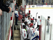 Pigs-n-heat-2025-gallery