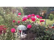 News, Quotes, and Commentary of Interest to the U.P. Beginning of May – Part1 News, Quotes, and Commentary of Interest to the U.P. Beginning of May - Part1