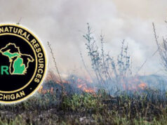 mi-dnr-burn-featured-image