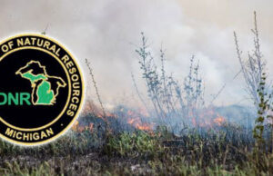 mi-dnr-burn-featured-image
