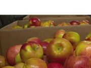 Millions of Americans Lose Food Stamp Benefits