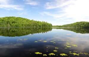 little-trout-lake-reopening